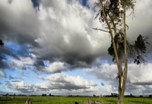 黑白体育-赛前突围战来临，达拉斯独行侠围绕CBA季后赛止住颓势，更衣室稳定，资深球员宣示担当的简单介绍